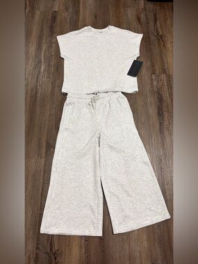 Danskin Light Gray Lounge Cropped Top & Wide Leg Pants Set